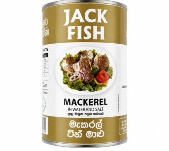 Jack Fish Mackerel