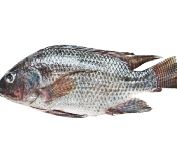 Thilapiya Fish ( Frozen ) 400g