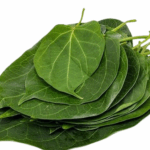1602672314 aguna leaves1 removebg preview 1 | スリランカ レストラン & スーパー