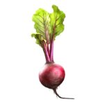 364774336 744867574315459 6046777385907829590 n 1 | スリランカ レストラン & スーパー