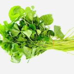 387155268 792119859590230 3922346845712636678 n 1 | スリランカ レストラン & スーパー