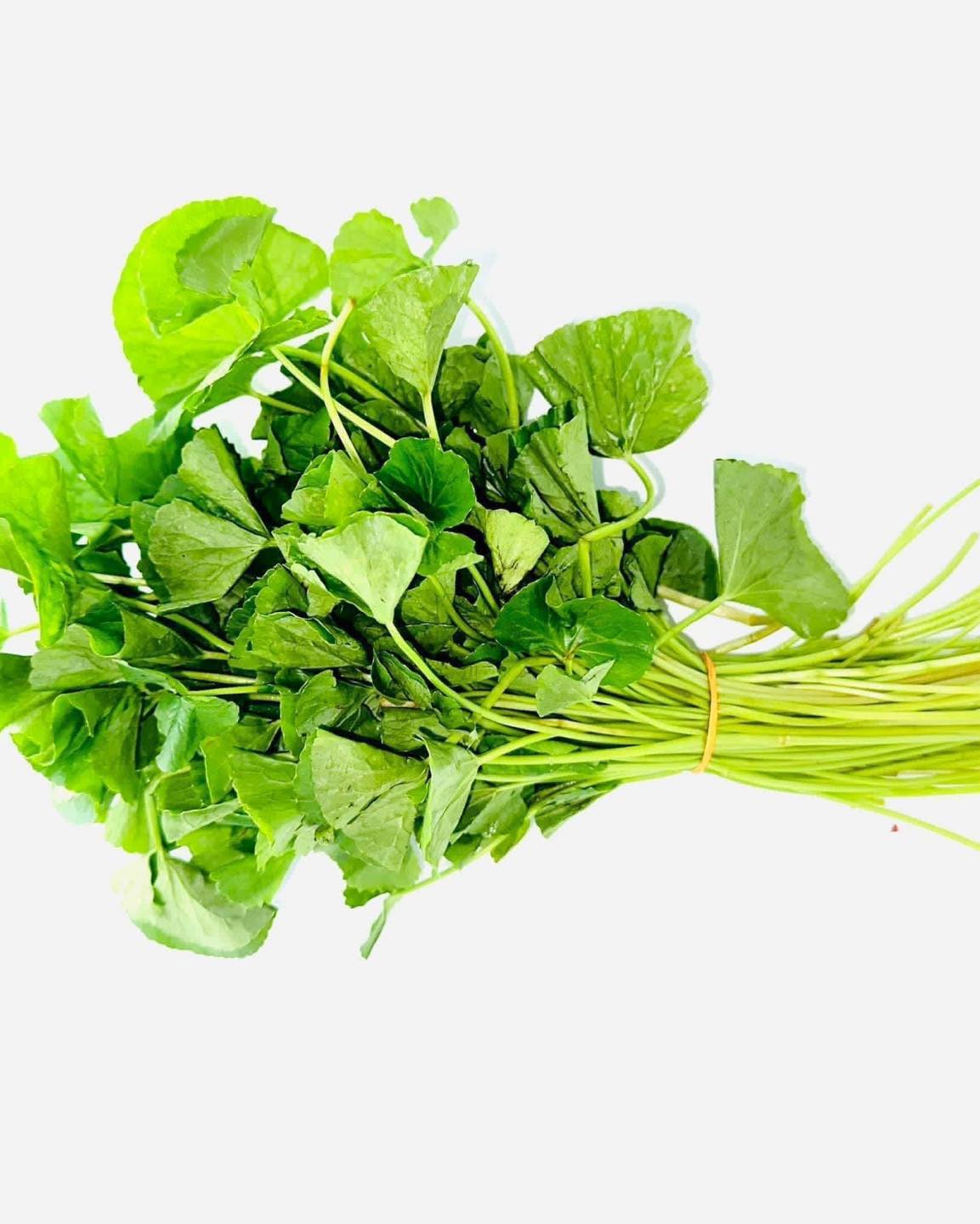 Fresh vegetables | ගොටුකොළ | Gotukola 3 | スリランカ レストラン & スーパー Fresh vegetables | ගොටුකොළ | Gotukola