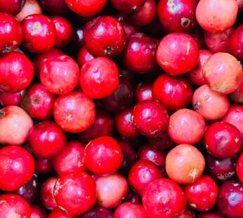 ලොවි  Lovi | 200g