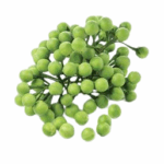 OIP 1 removebg preview 1 | スリランカ レストラン & スーパー