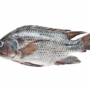 Thilapiya Fish ( Frozen ) 400g