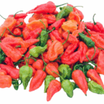 articles ghost pepper growityourself text 5 removebg preview 1 | スリランカ レストラン & スーパー