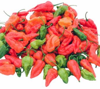 Nai Kochchi | නයි කොච්චි 200g