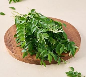 Fresh Curry Leaves